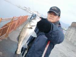 【今日も釣れてる♪】南芦屋浜リアルタイム