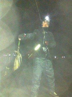 串本港で今年初のエギング、釣れたのはコウイカ♪