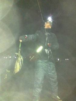 串本港で今年初のエギング、釣れたのはコウイ…