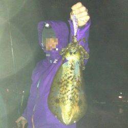 串本港 エギングでアオリイカ2ハイ＆コウイカ5ハイ他