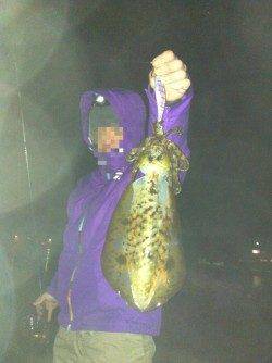 串本港 エギングでアオリイカ2ハイ＆コウイカ5ハイ他