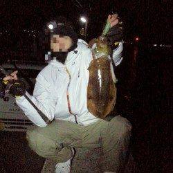 串本港でエギング、新規ポイントでの調査。