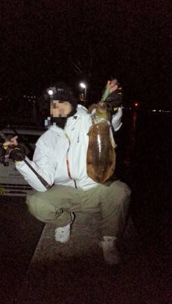 串本港でエギング、新規ポイントでの調査。