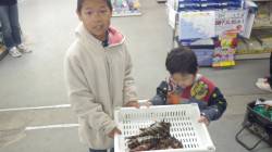 お子様の釣果〜天神崎でガシラ・タカノハダイ…