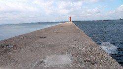 本荘人工島 サビキでメバル5匹☆