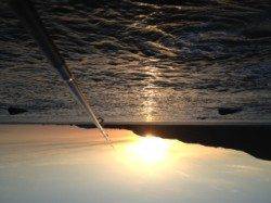 見老津漁港 星を眺めながらのナイトエギングでアオリイカ