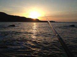 見老津漁港 星を眺めながらのナイトエギングでアオリイカ