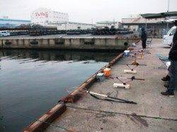 倉庫前　ズボ釣りでハネ合計6本♪