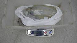 白浜町富田の地磯 エギングでアオリイカ88…