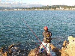 個人的に地味ィ～な印象が強い「ベラ」【中本嗣通氏連載記事No.11】