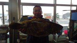 みなべ堺　大島、カゴ釣りで56cmのクエ♪