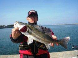 真昼間にドカン!!と　泉大津ＲＴ　3日ひる