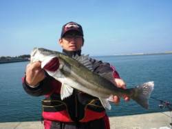 真昼間にドカン!!と　泉大津ＲＴ　3日ひる…