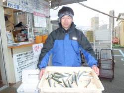 マリーナシティ海釣り公園、サビキでイワシ♪…