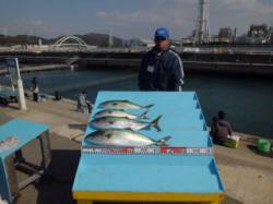 マリーナシティ海洋釣り堀 ブリの釣果も出て…