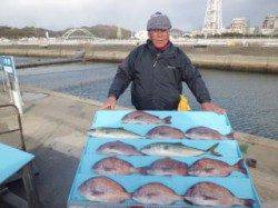 マリーナシティ海洋釣り堀 マダイ＆ハマチ好調！