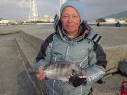 マリーナシティ海釣り公園でブッコミで40c…