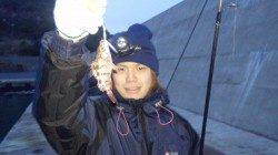 浅茂川 メバリングでメバル11.5cm