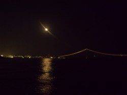 穏やかな星空の下メバリングでリフレッシュ☆