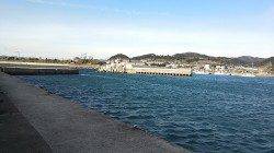 ガシラ狙いでしたが…上野漁港での胴突き釣果