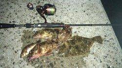 戸坂・塩津漁港 ボトムリトリーブでガシラ＆ヒラメ☆