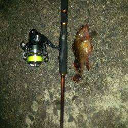 田ノ浦でロックフィッシュルアーゲーム！