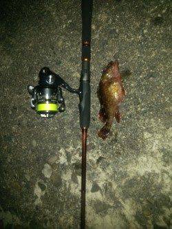 田ノ浦でロックフィッシュルアーゲーム！