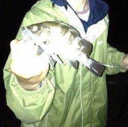 貝塚 強風の中でもメバリングでメバル2匹