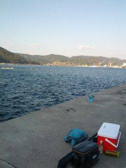 柏漁港でエビ撒き【ガシラは釣れましたが…】