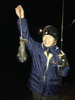 すさみ港 エギングでアオリイカ 天候は快適…