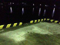 浦神湾 アジングでアジ＆カマスゲッット！