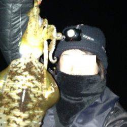 南紀でナイトエギング、見事アオリGET★