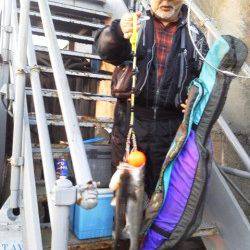 岸和田一文字でハネ好調11本！