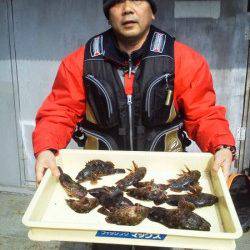 岸和田一文字 シラサの探り釣りでガシラ12匹