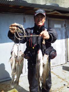 旧の白灯台でウキ釣り、ハネが好調のようです…