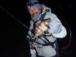 舞洲 メバリングでメバル〜23cm11匹☆