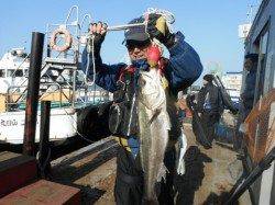 セイゴ~スズキまで♪泉大津・岸和田RT(3日・朝)