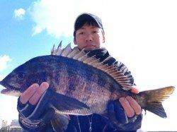南芦屋浜 状況厳しい中フカセでチヌ44cm