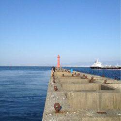 大阪南港、フカセで良いサイズのチヌＧＥＴ！