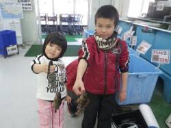 椿の地磯でガシラゲット★ＫＩＤＳ釣果★