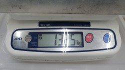 すさみ堤防 ヤエンでアオリイカ〜1.3kg9ハイ