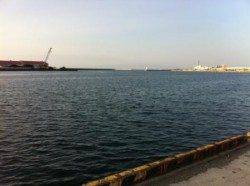 貝塚港~食コンりある♪