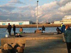 忠岡水銀灯53㎝・48cmの綺麗なハネ(^0^)