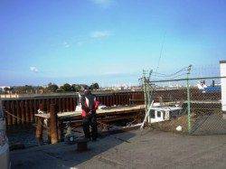 旧水上警察で45cmクラスのハネ♪