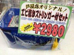 【シラサエビでチヌ！】南芦屋浜リアル