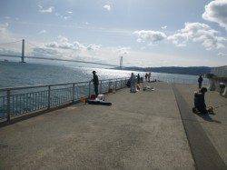 【寒くてもサヨリ釣れるぞ！】大蔵海岸リアル