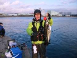 忠岡水銀灯53㎝・48cmの綺麗なハネ(^…