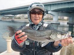 【エビ撒きもいいぞ♪】南芦屋浜リアルタイム…