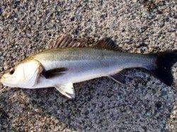 良い天気に恵まれました♪泉大津RT２８日夕方