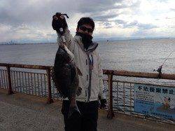 【出ました！メタボチヌ～！】南芦屋浜